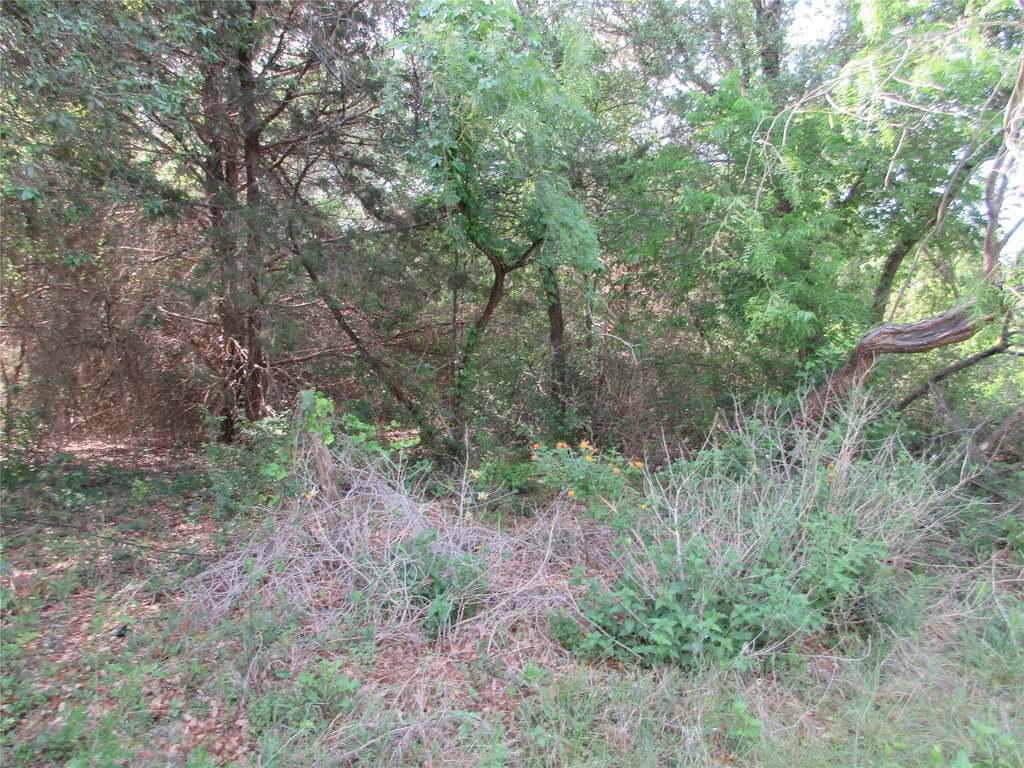 Picture 6