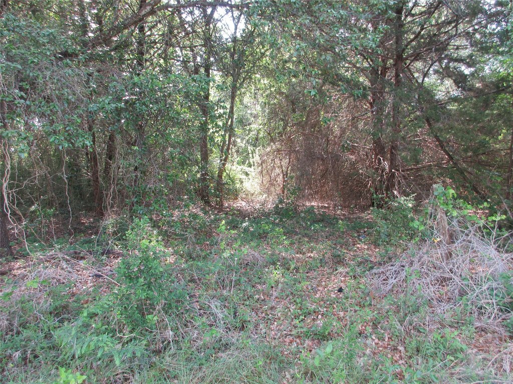 Picture 5