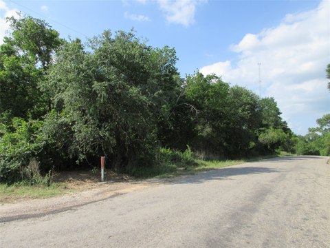 Heavily Wooded Land in Marlin, TX