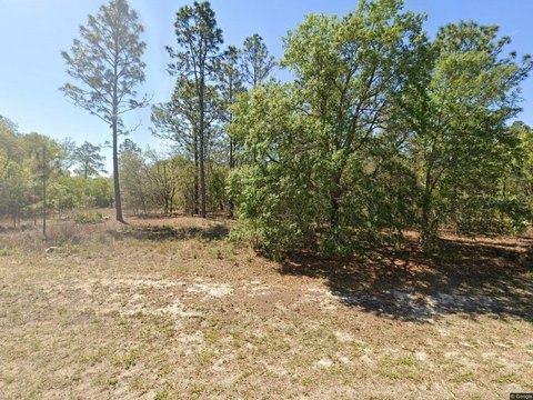 LAND - CITRUS SPRINGS, FL
