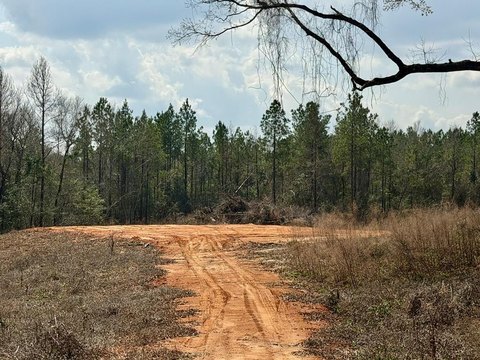 Poplarville Land for Recreation/Hunting