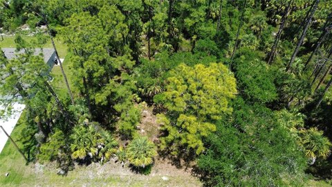 Residential Lot in Port Charlotte