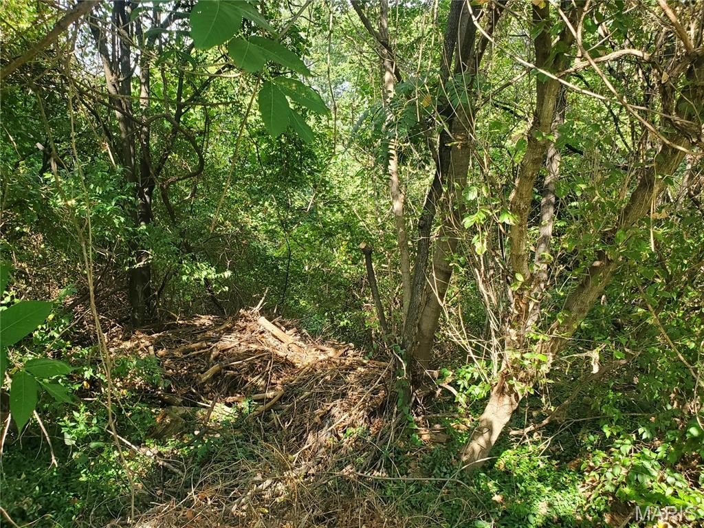 Picture 8