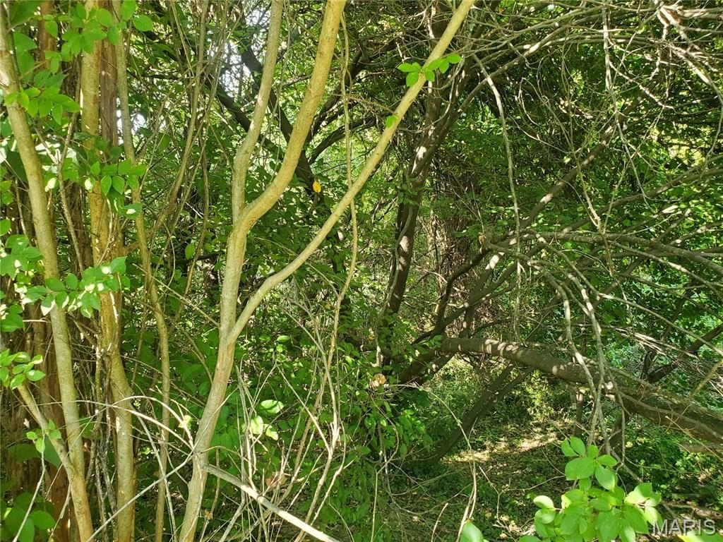 Picture 7