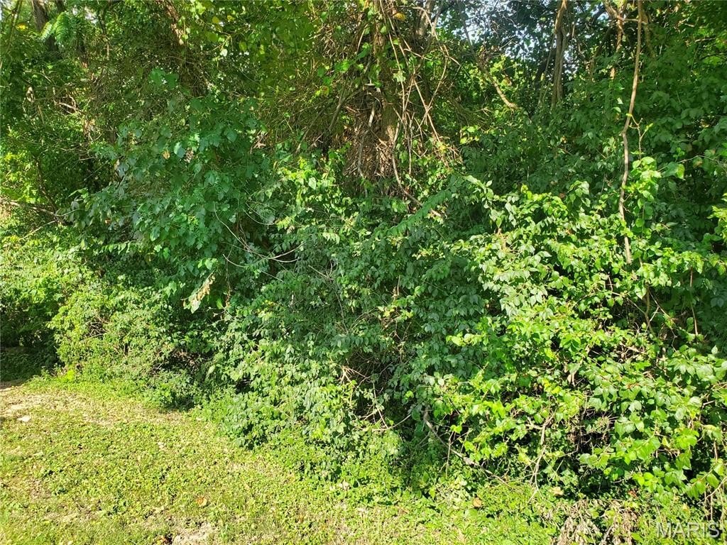 Picture 10