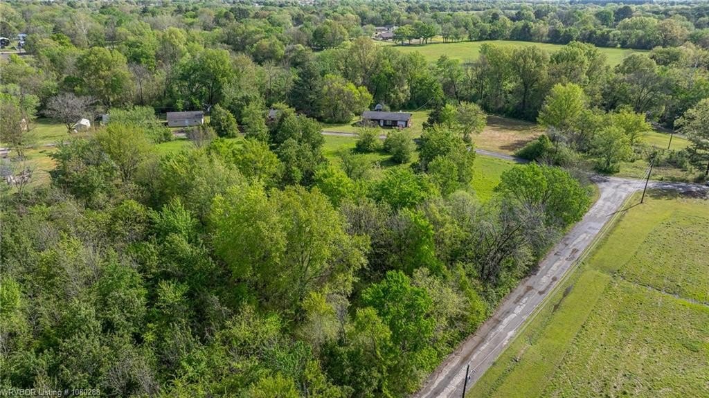 Picture 8