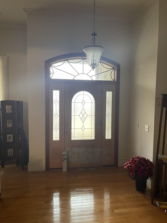 Picture 43