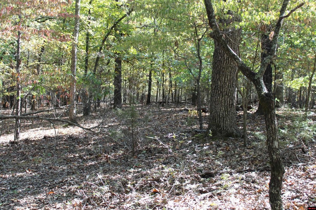 Picture 13