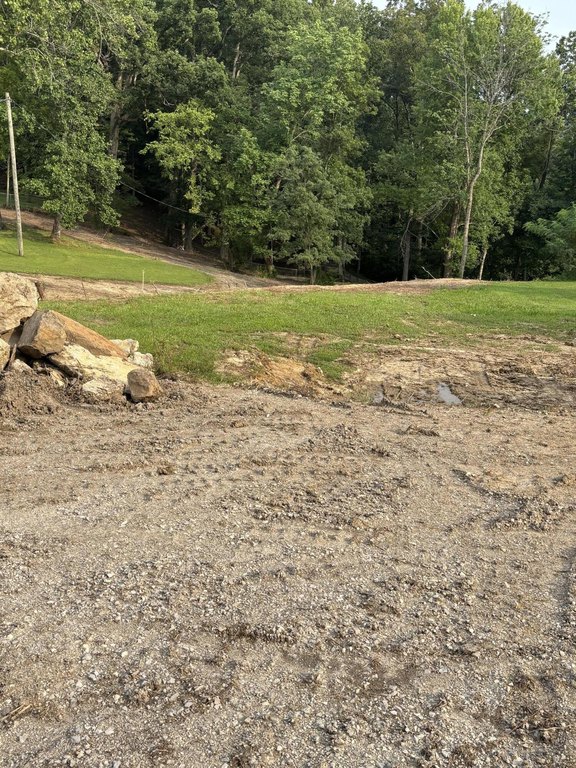 Picture 4