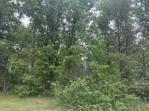 Residential Building Lot Near Ausable