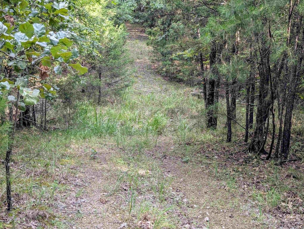 Picture 8