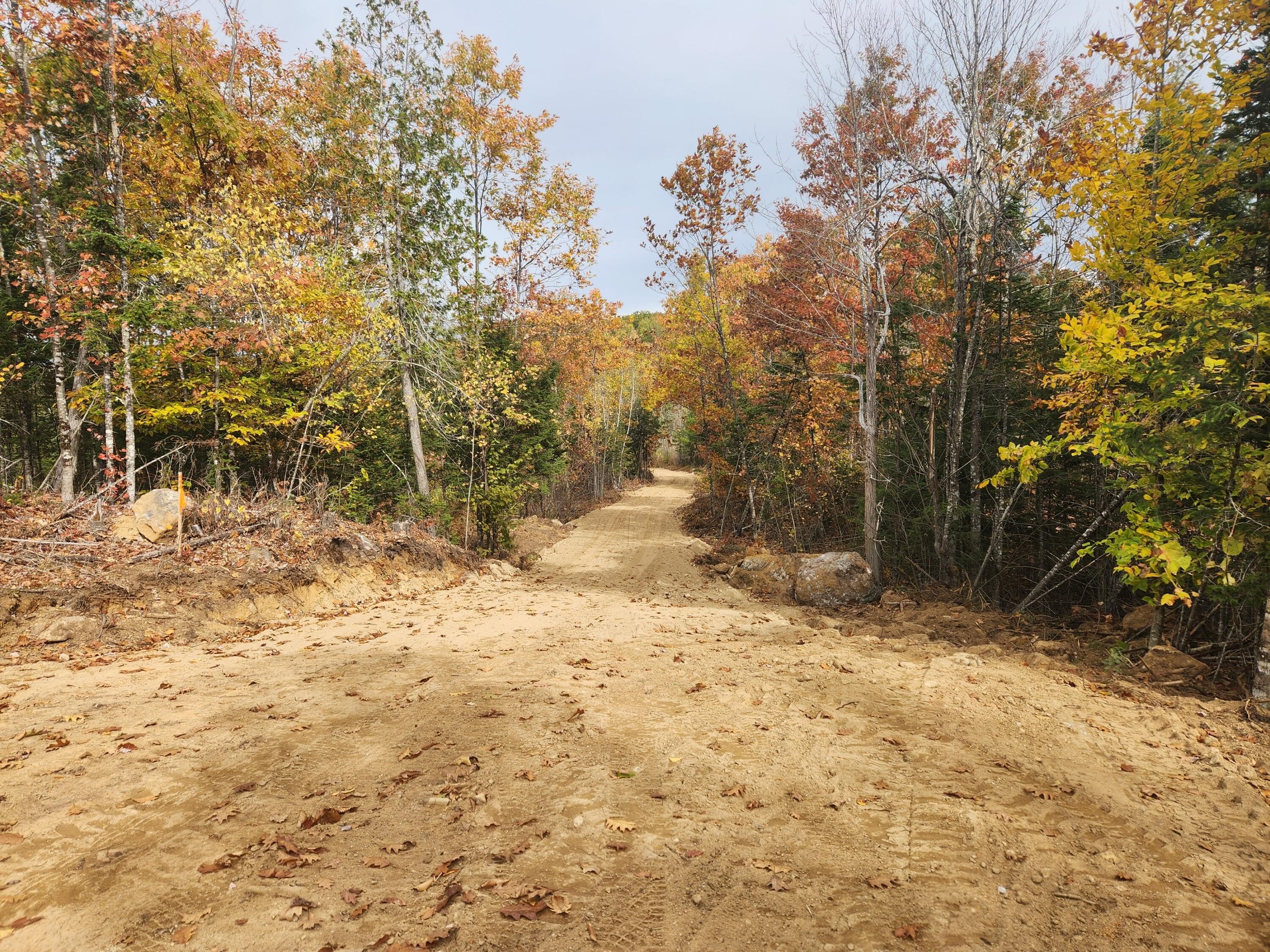 40 Acres in Buckfield, Maine