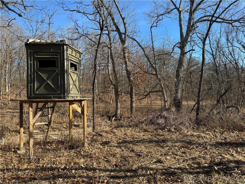 82 Acres with Updated Cabin