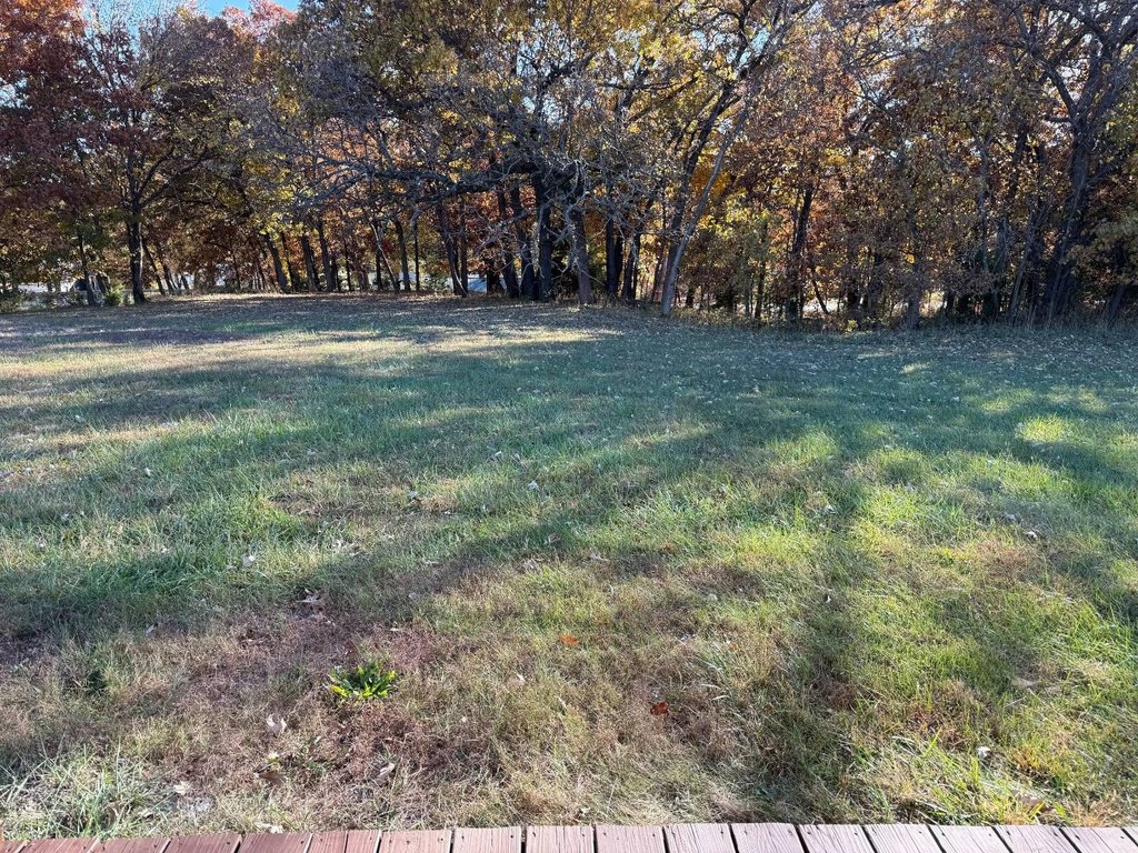 Picture 28