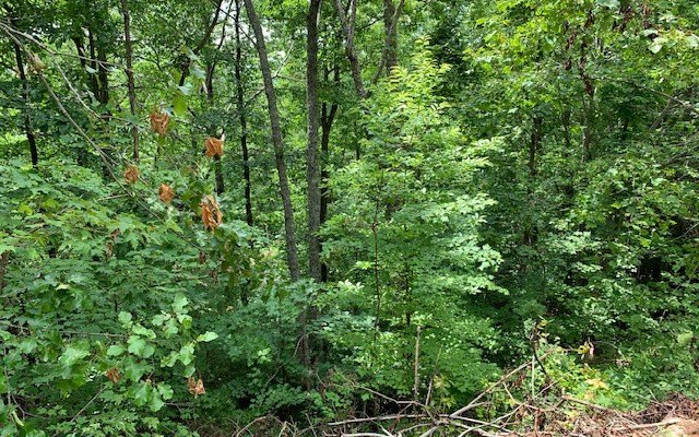 Picture 15