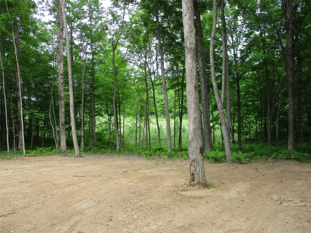 Picture 12
