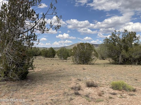 36 Acres in Sierra Verde Ranch