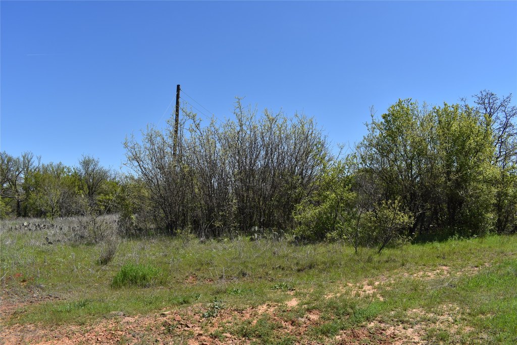 Picture 28