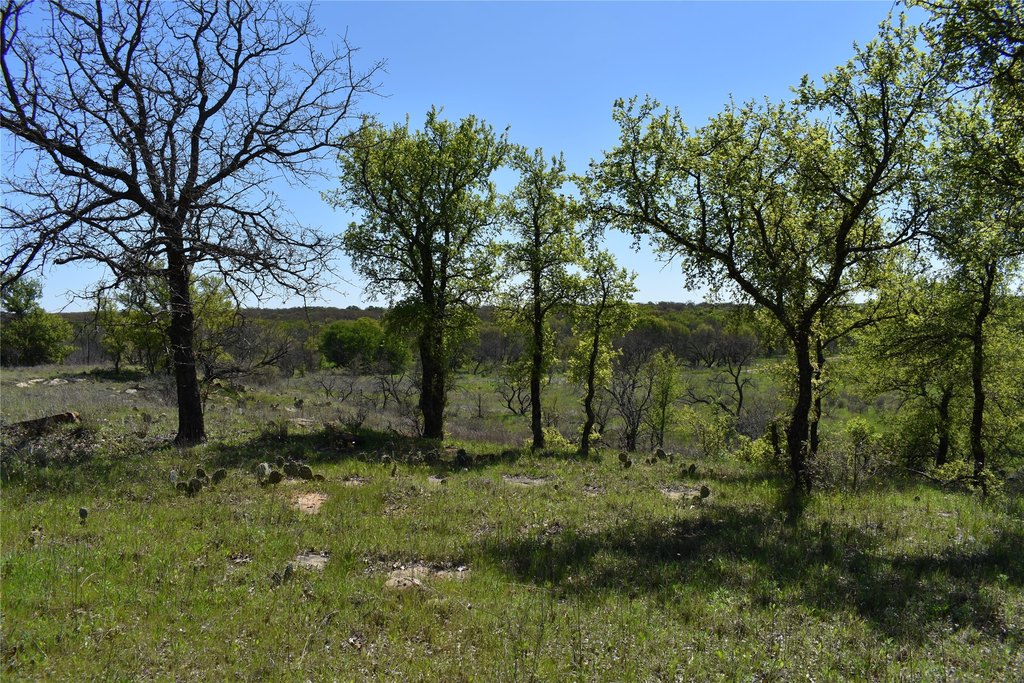 Picture 20