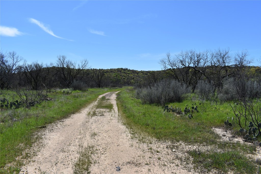Picture 29