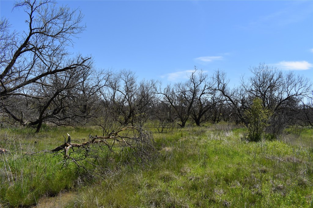 Picture 37