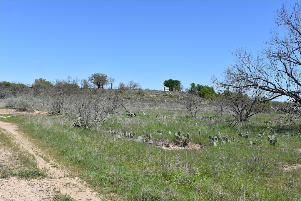 Picture 30