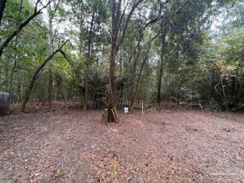 Agricultural Land in Bonifay, Florida