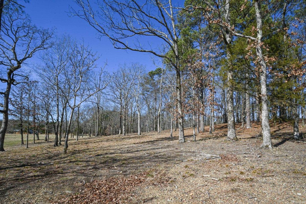 Picture 19