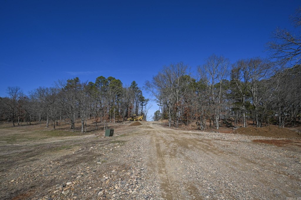 Picture 31