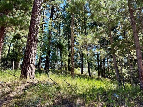 Buildable Wooded Lot in McCall