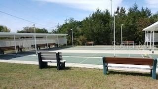 Picture 11