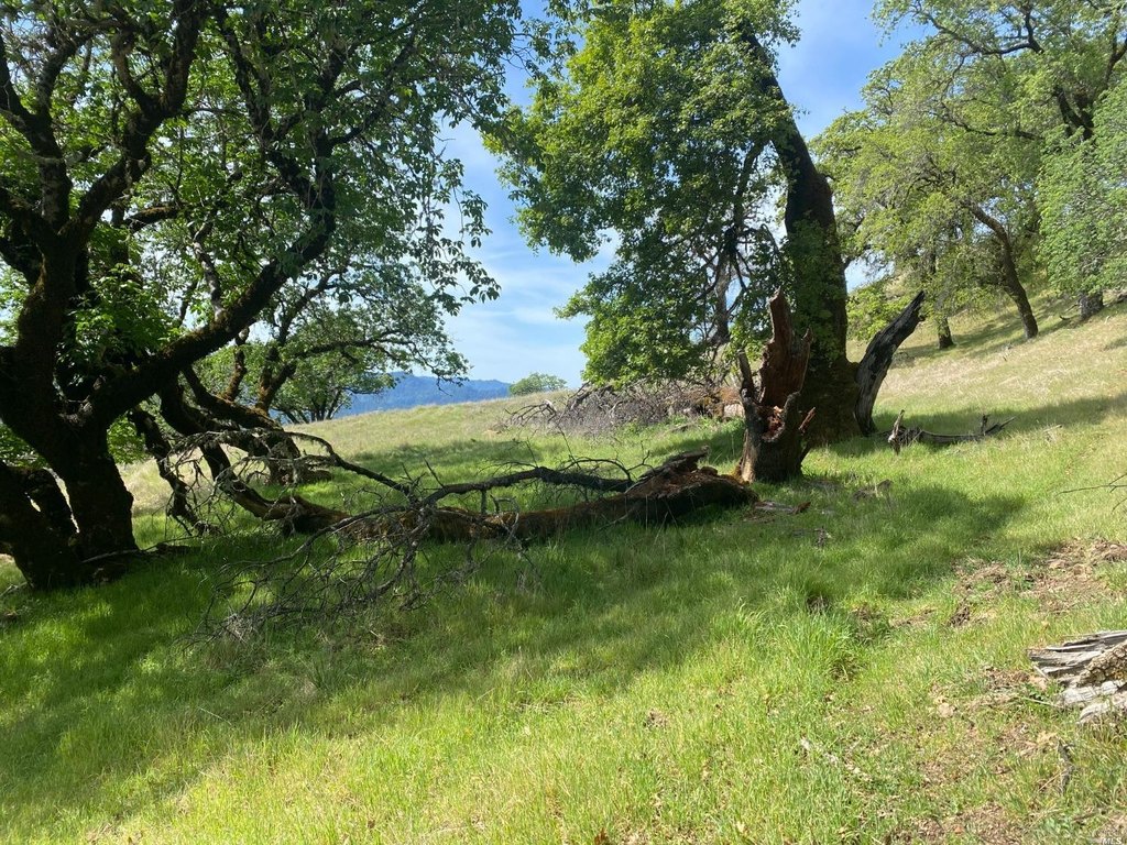 Picture 12