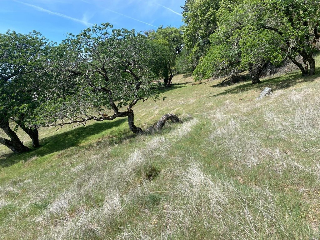 Picture 24