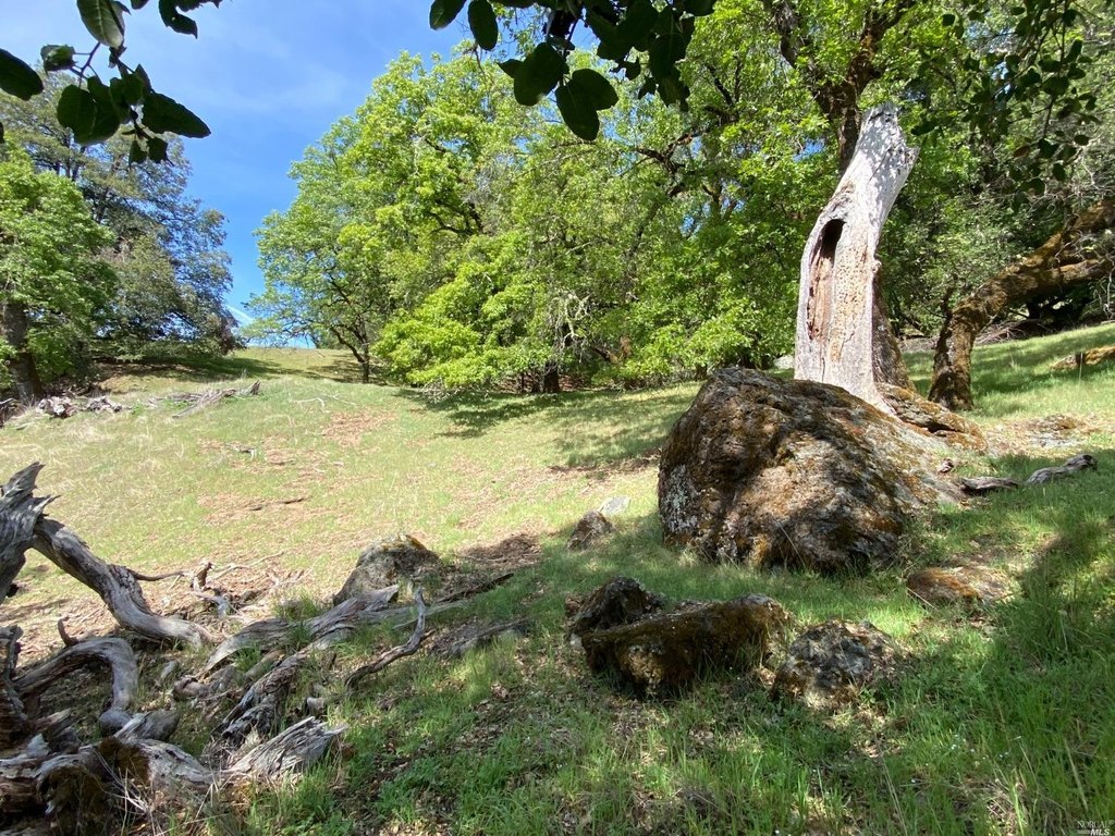 Picture 23