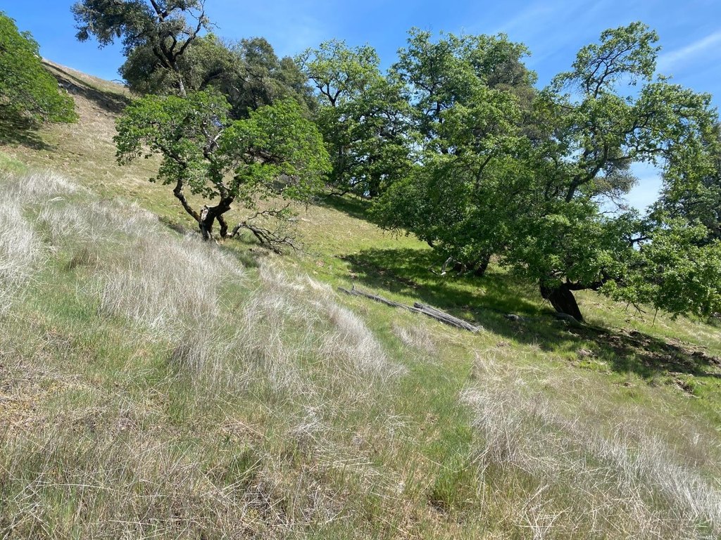 Picture 25