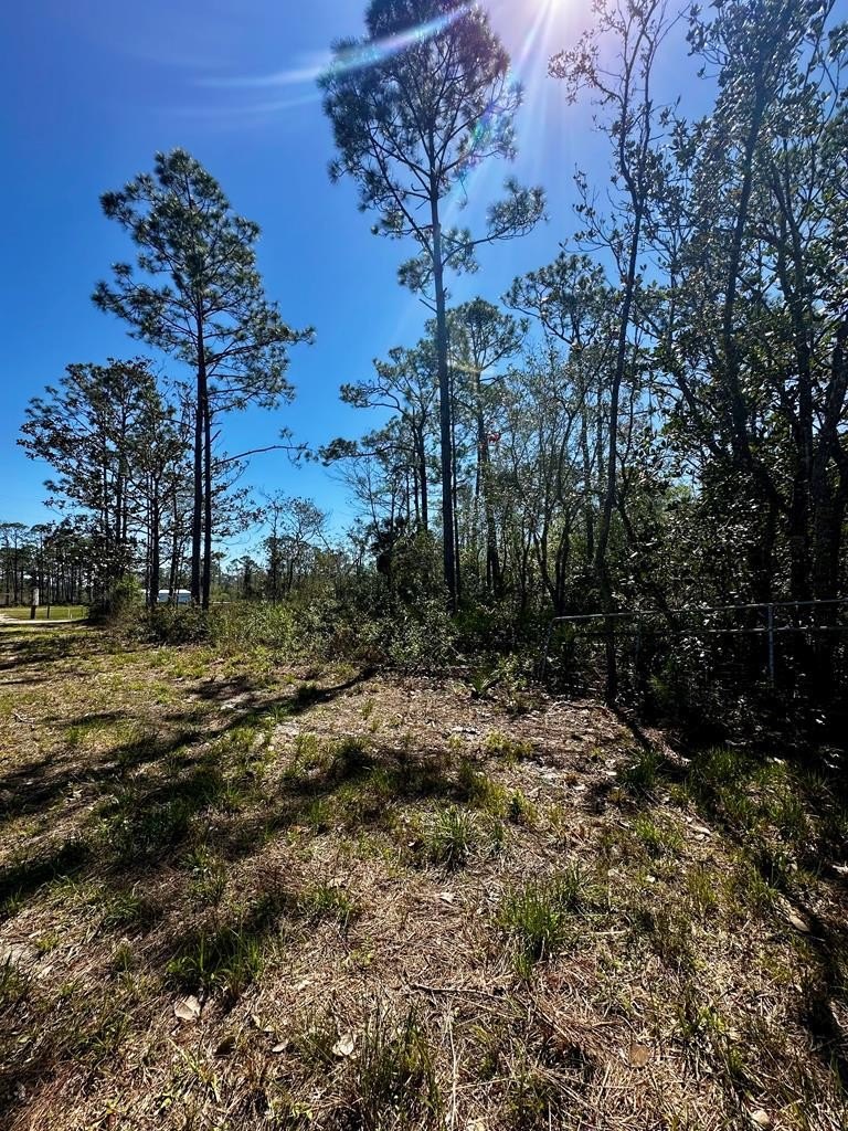 Land Near Steinhatchee Boat Ramps
