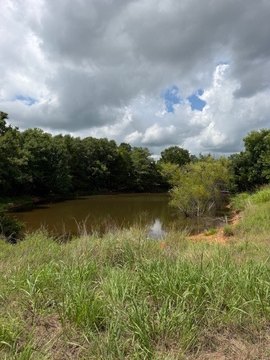 LAND - Asher, OK
