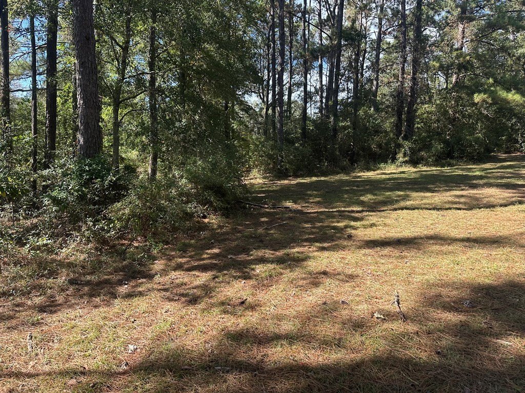 Picture 5