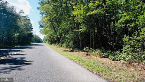 Unimproved Land in Egg Harbor