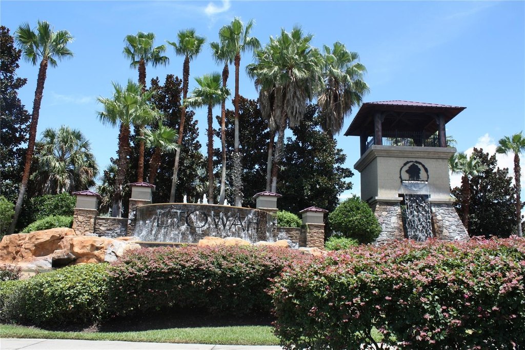Picture 31