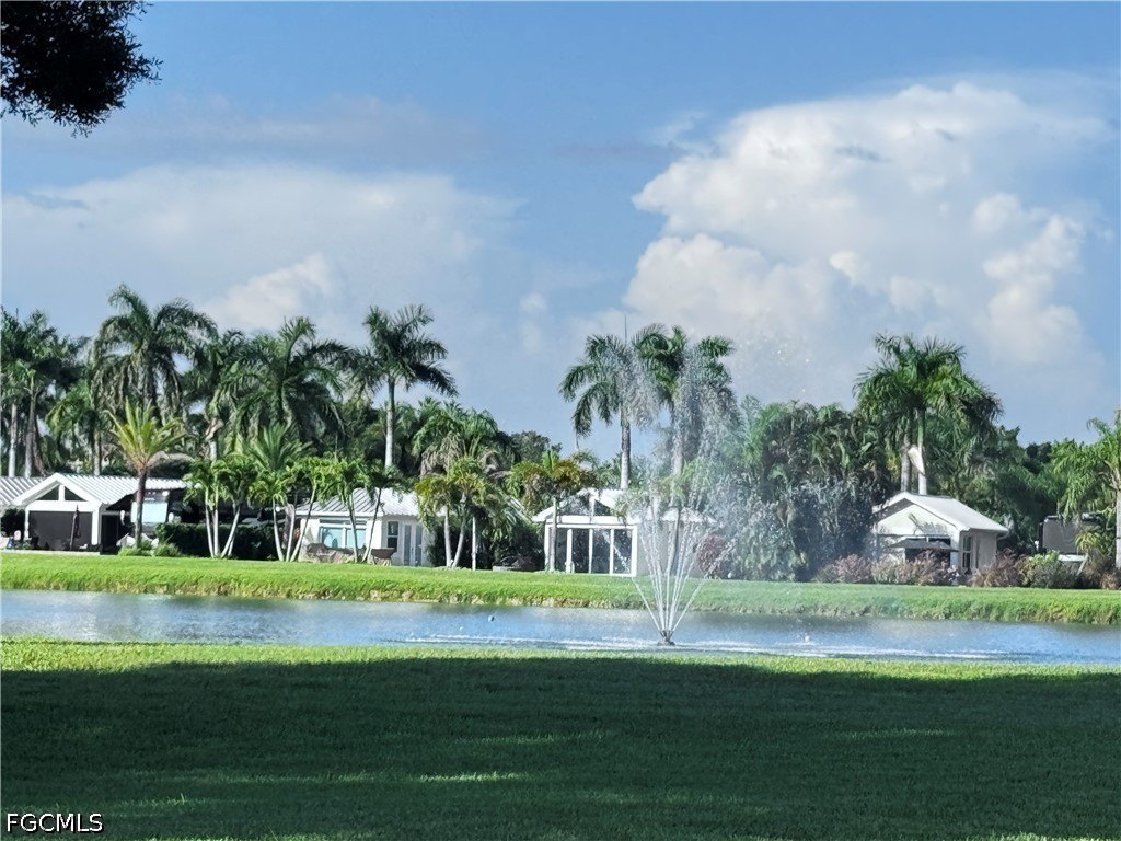 Picture 19