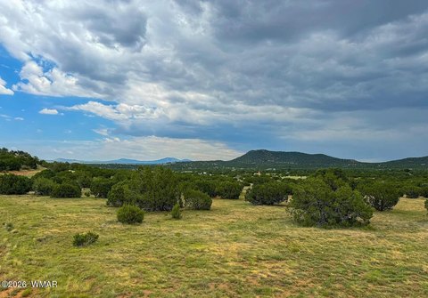 Land, Concho, AZ