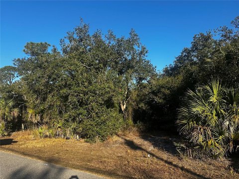 North Port Buildable Lot