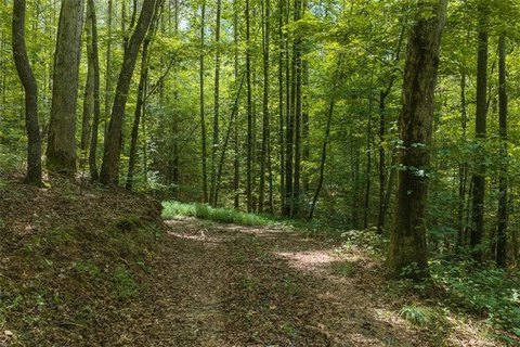 Land, Ellijay, GA