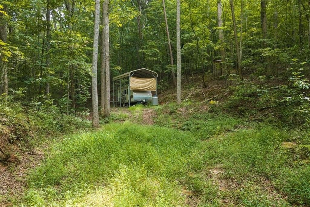 Picture 7