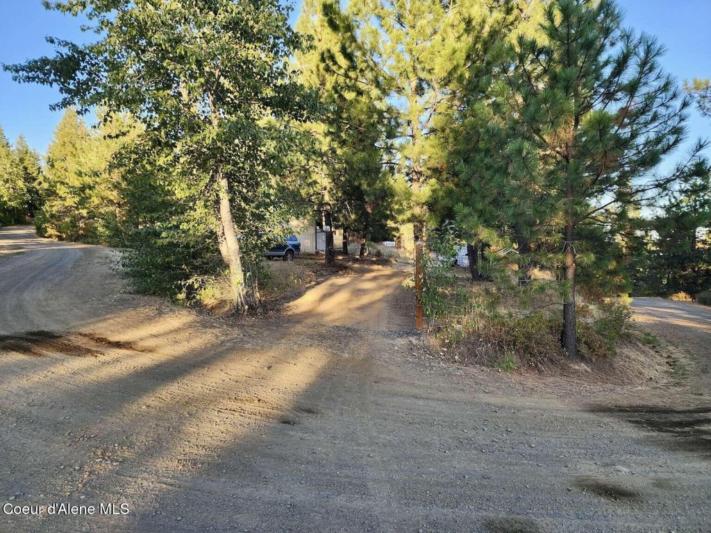 Picture 19