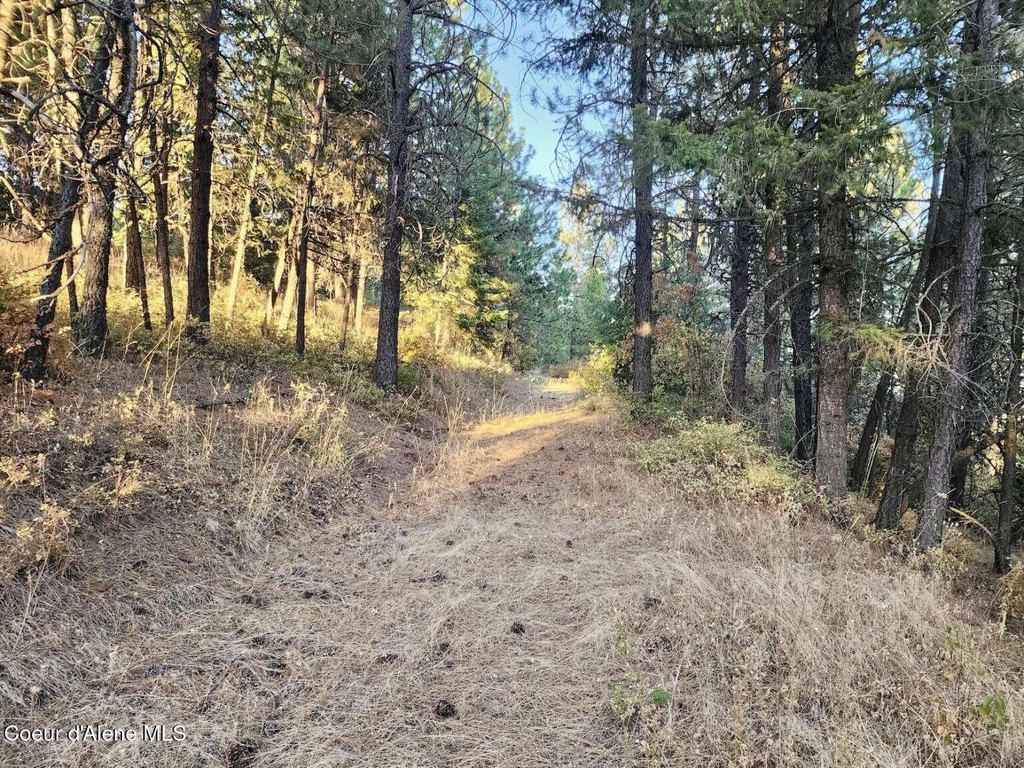 Picture 29