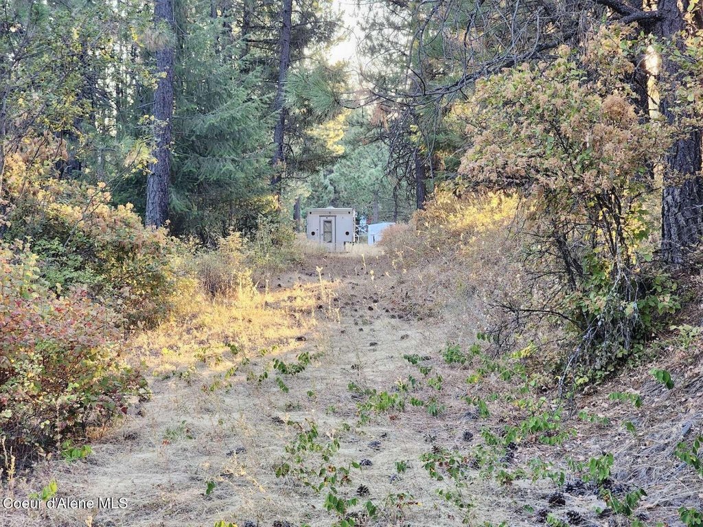 Picture 31