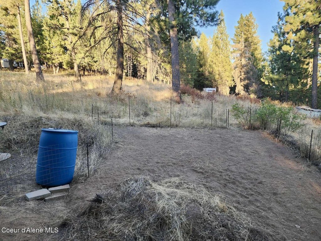Picture 21