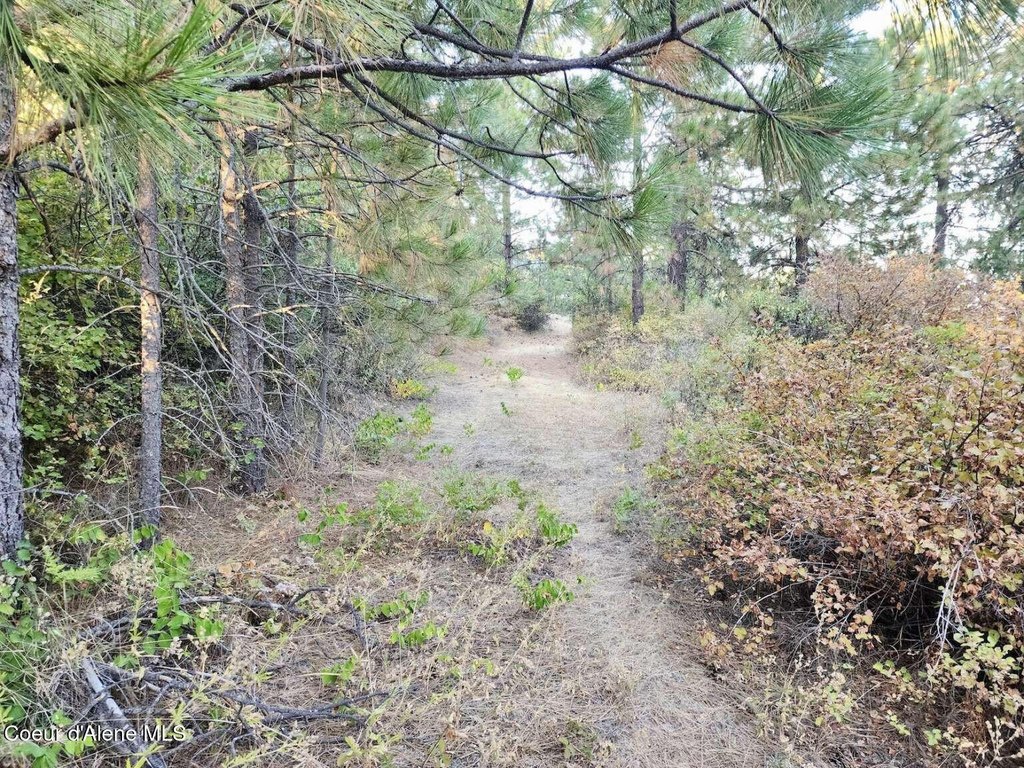 Picture 30
